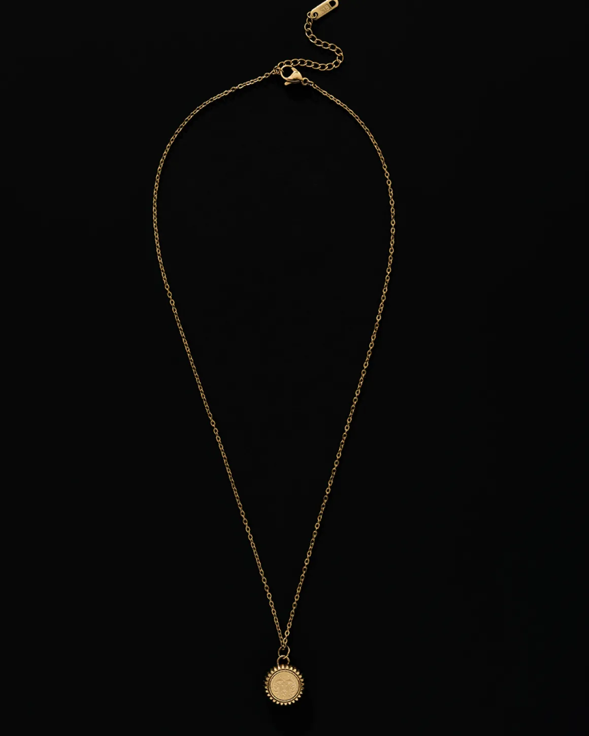 Aries Zodiac Charm Necklace in Gold