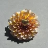Azura Ring in Gold