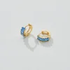 Birthstone Hoops December