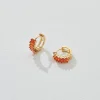 Birthstone Hoops January