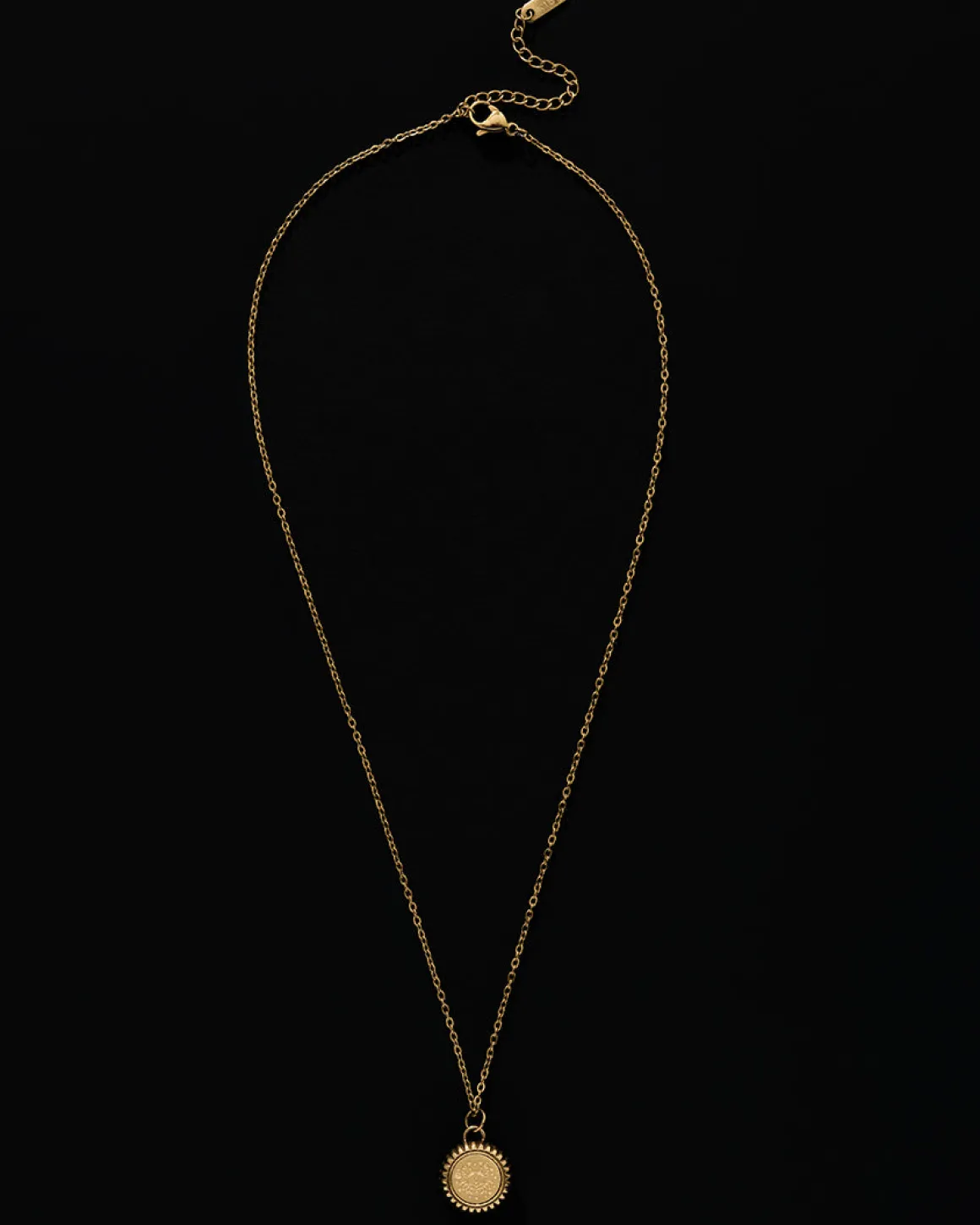 Cancer Zodiac Charm Necklace in Gold