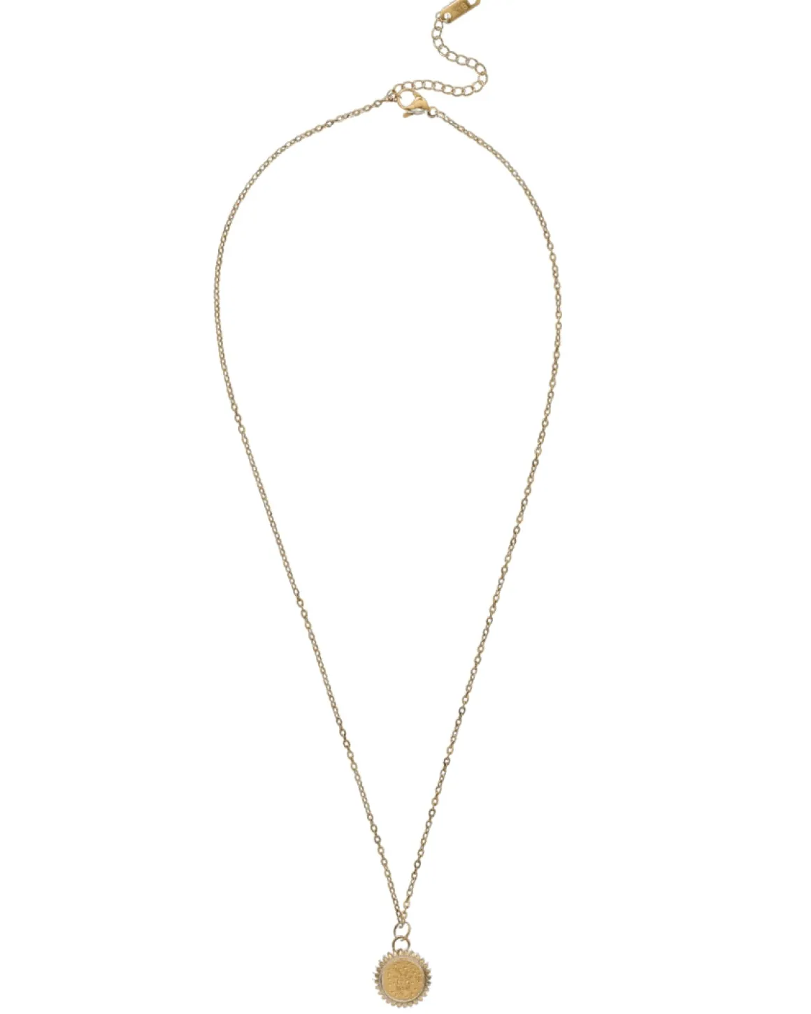Capricorn Zodiac Charm Necklace in Gold
