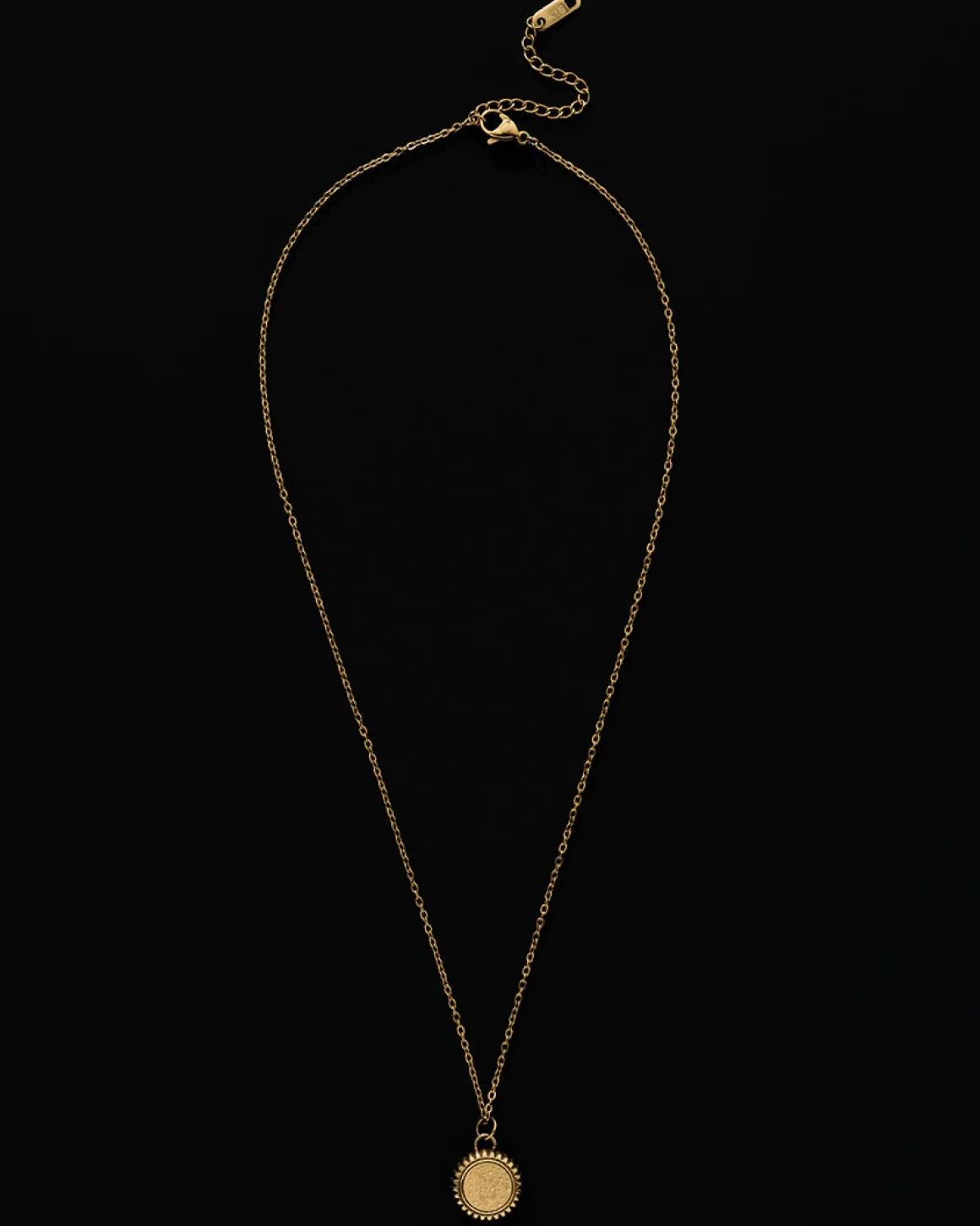 Capricorn Zodiac Charm Necklace in Gold