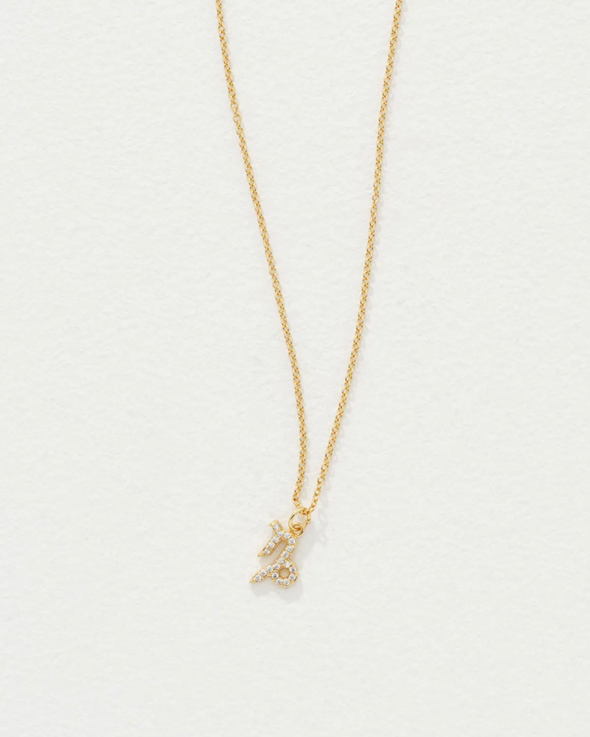 Celestial Necklace Capricorn