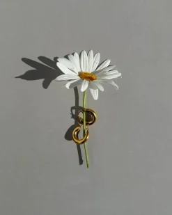 Mateo Earrings in Gold