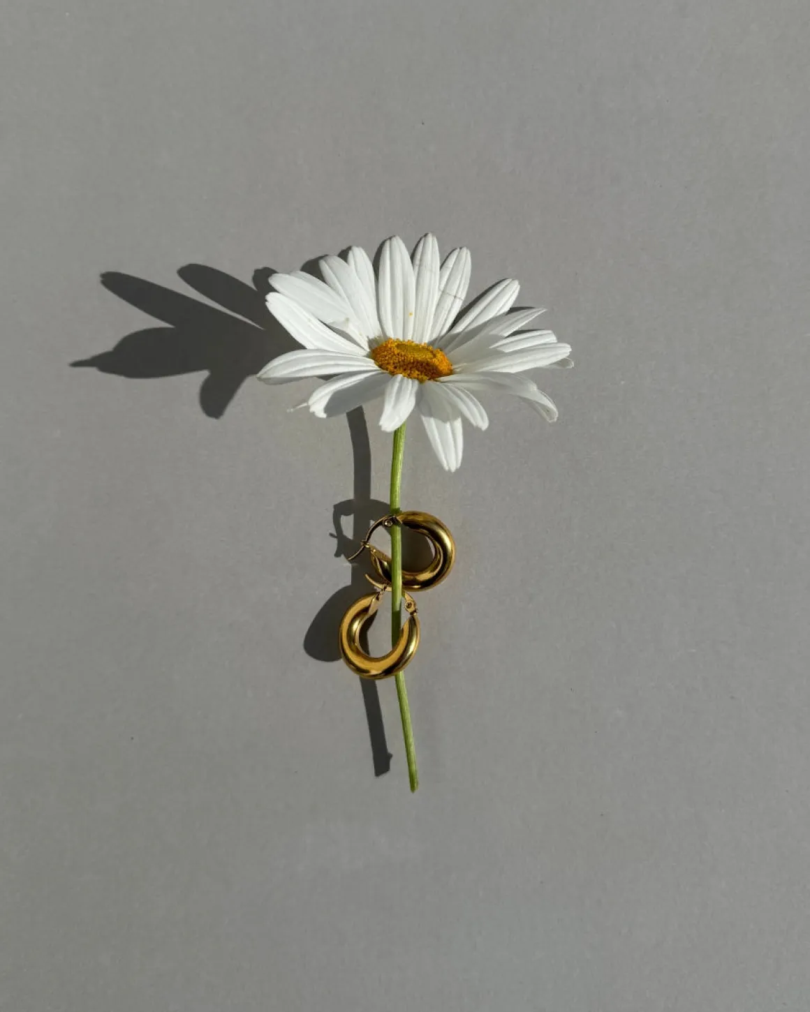 Mateo Earrings in Gold