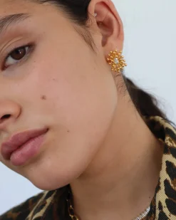 Oriana Earrings in Gold u0026 Crystal