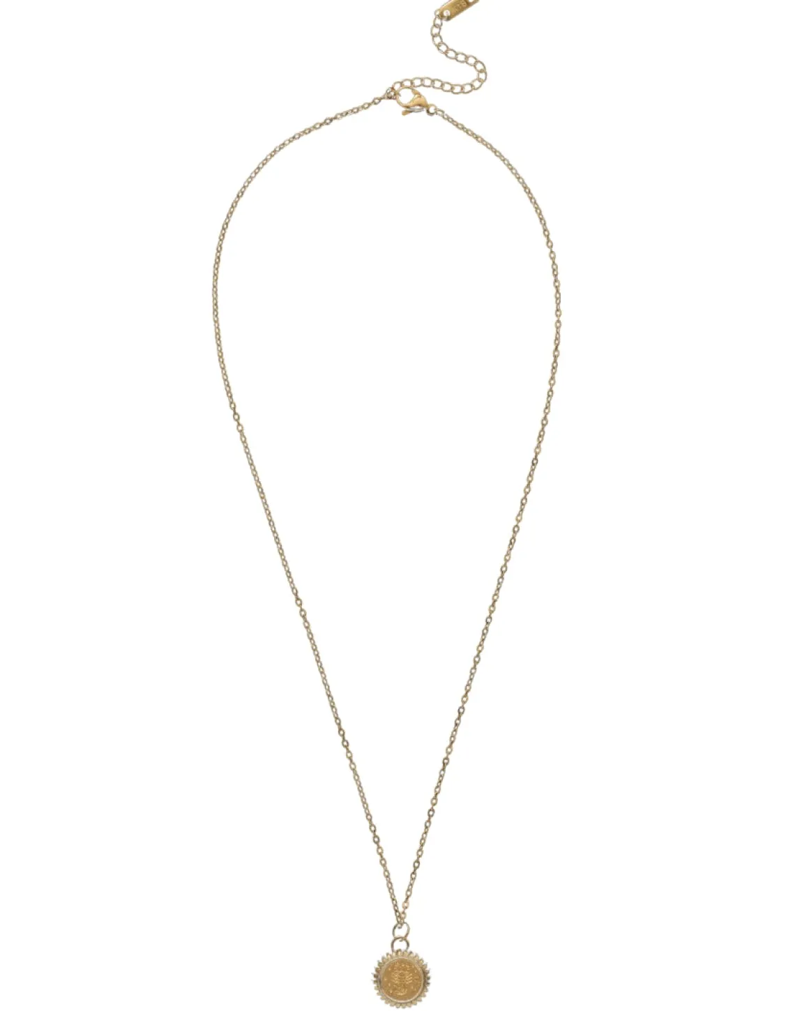 Scorpio Zodiac Charm Necklace in Gold