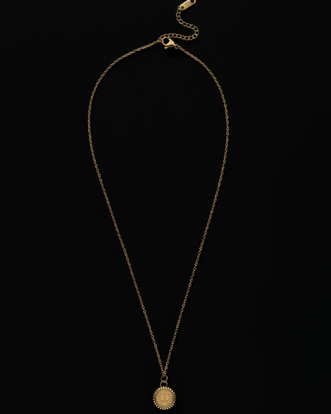 Scorpio Zodiac Charm Necklace in Gold